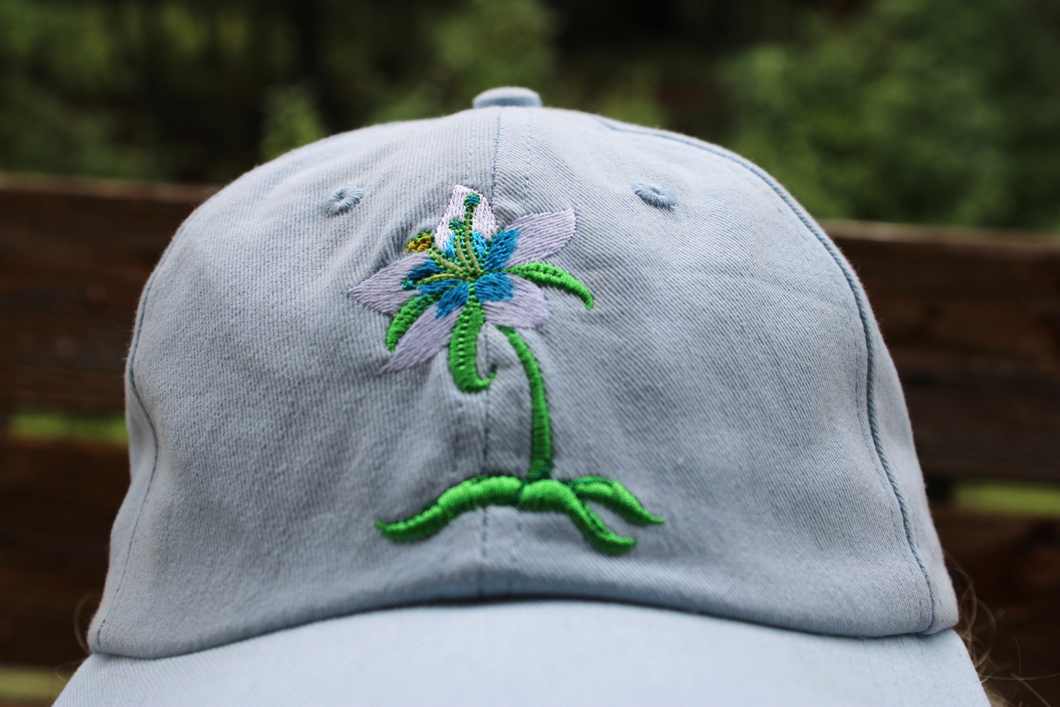Embroidered Nintendo Hats